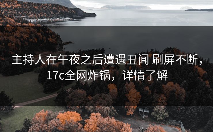 主持人在午夜之后遭遇丑闻 刷屏不断，17c全网炸锅，详情了解