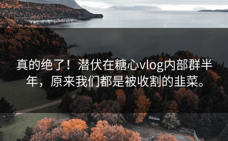 真的绝了！潜伏在糖心vlog内部群半年，原来我们都是被收割的韭菜。